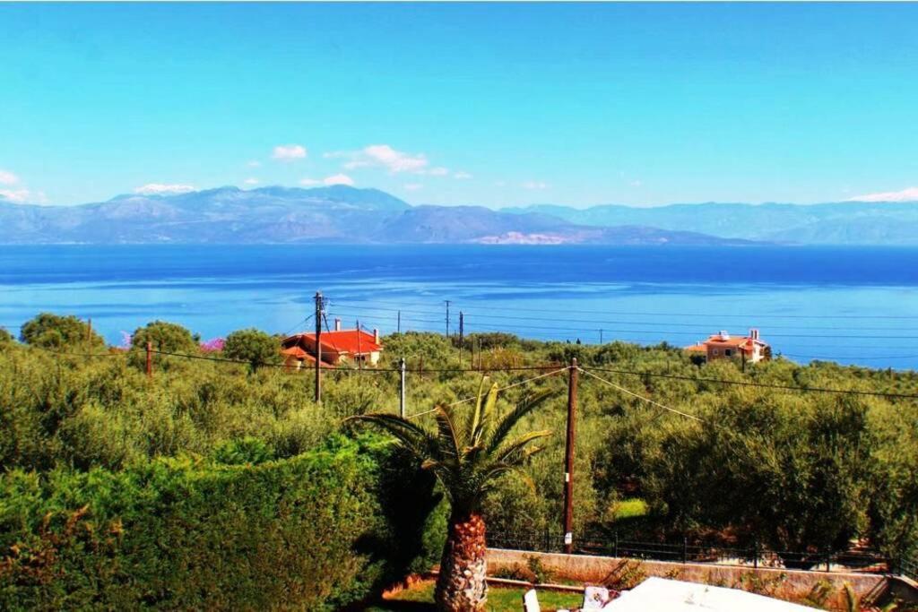 Villa Platanos Estate