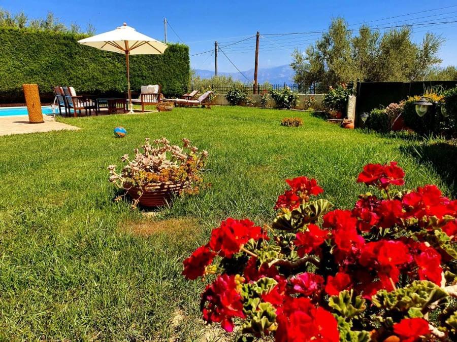 Villa Platanos Estate